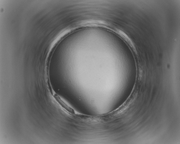 X0000064041384200601271151