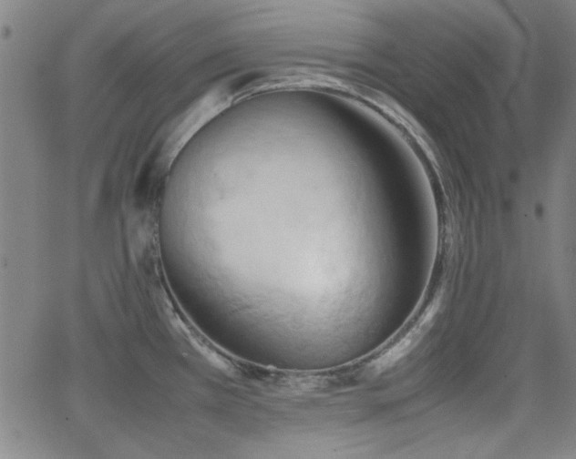 X0000064041385200601271151