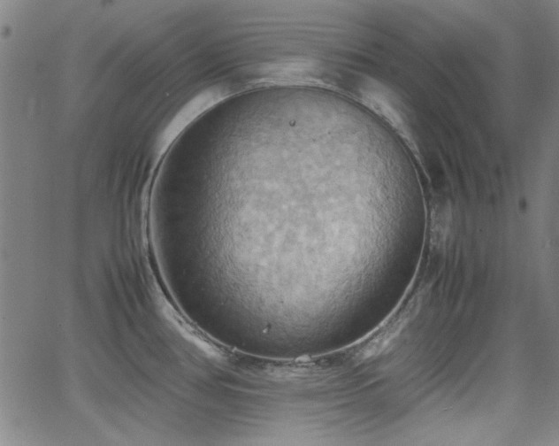 X0000064041386200601271151