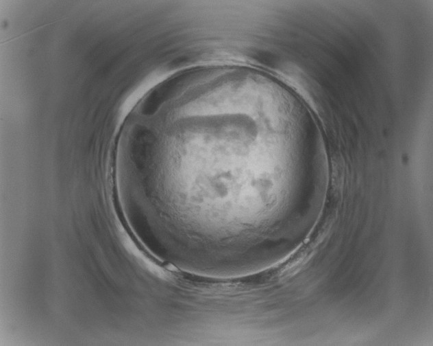 X0000064041387200601271151