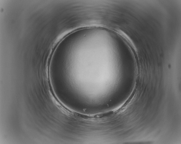 X0000064041388200601271151