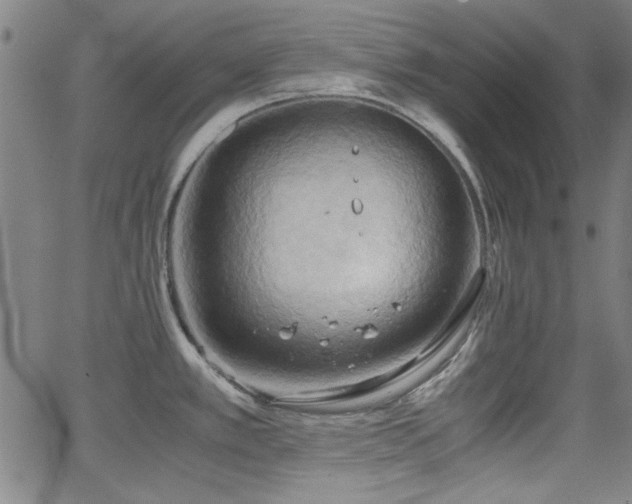 X0000064041389200601271151