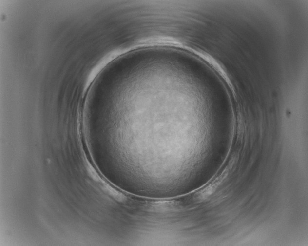 X0000064041390200601271151