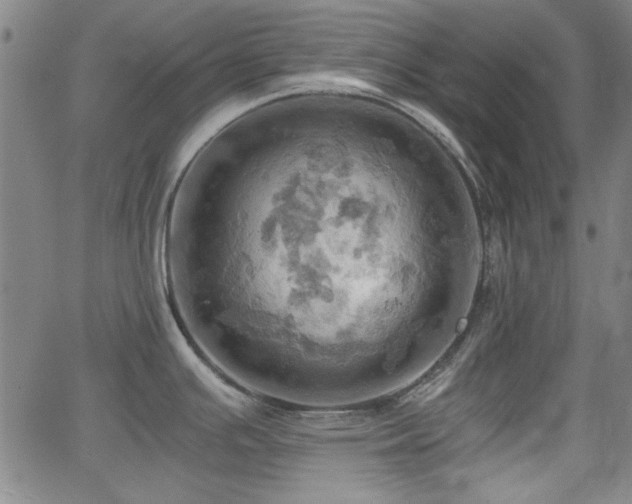 X0000064041391200601271151