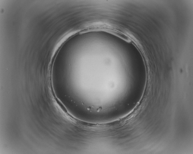 X0000064041392200601271151