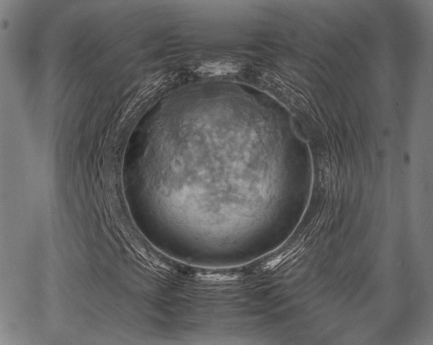 X0000064041393200601271150