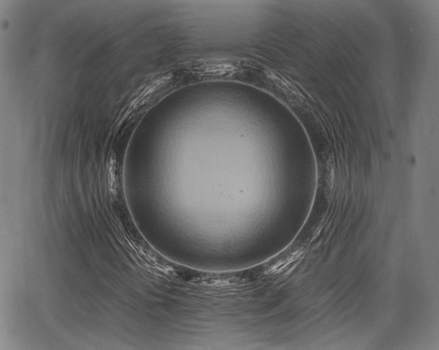 X0000064041394200601271150