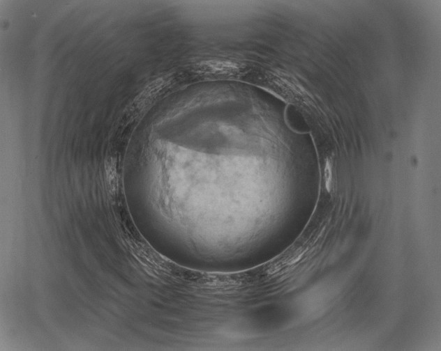 X0000064041395200601271150