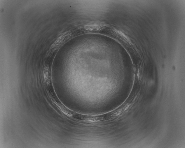 X0000064041396200601271150