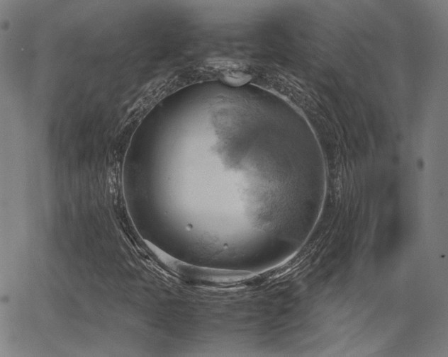 X0000064041397200601271150