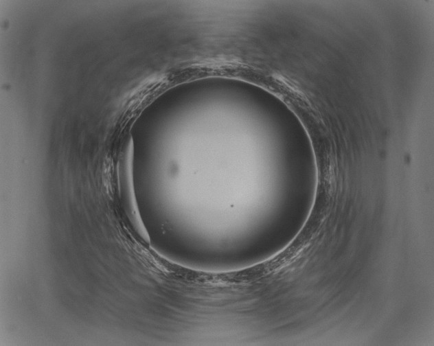 X0000064041398200601271150