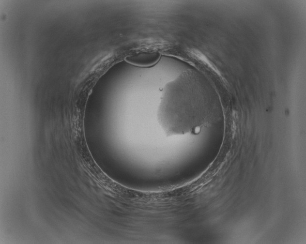 X0000064041399200601271150