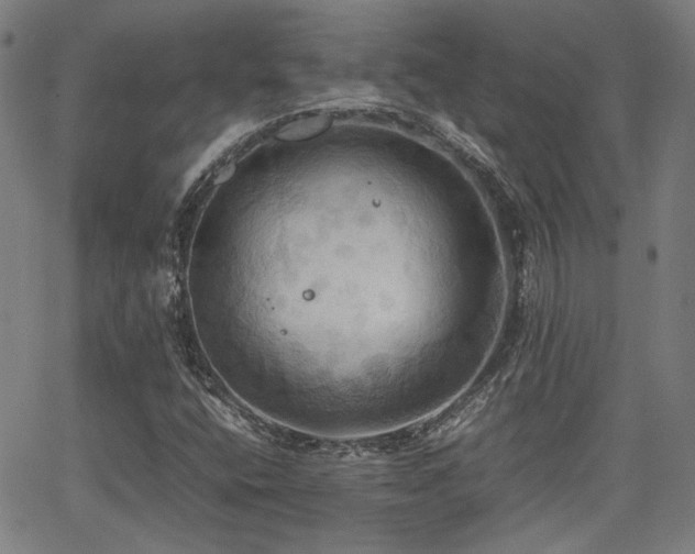 X0000064041400200601271150