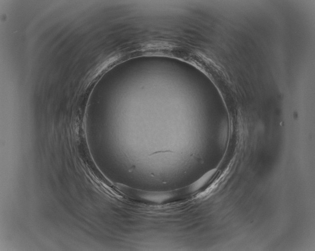 X0000064041401200601271150