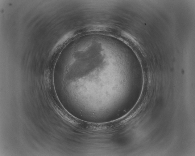 X0000064041403200601271150