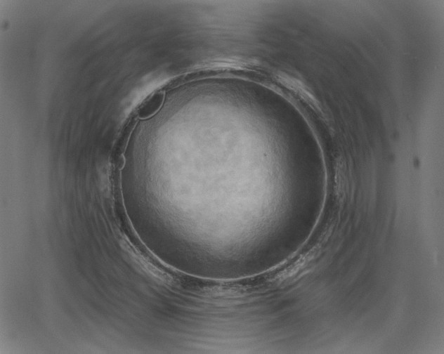 X0000064041404200601271150