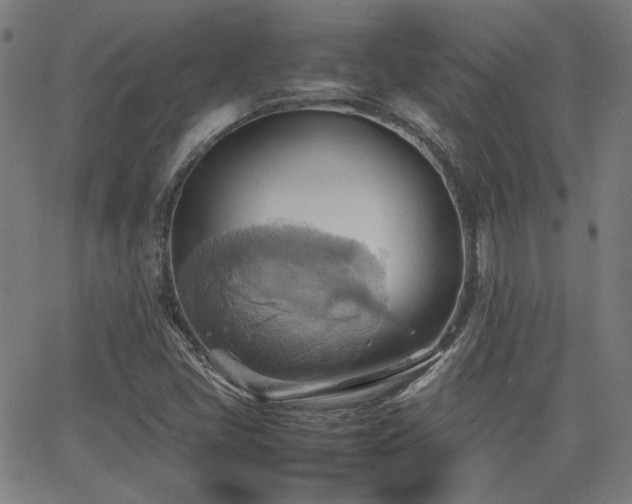 X0000064041405200601271150