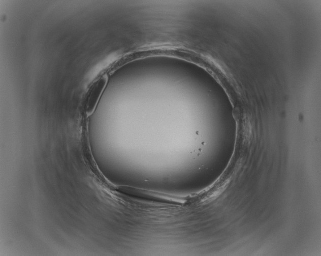 X0000064041406200601271150