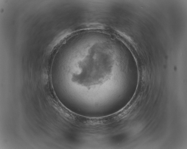 X0000064041407200601271150