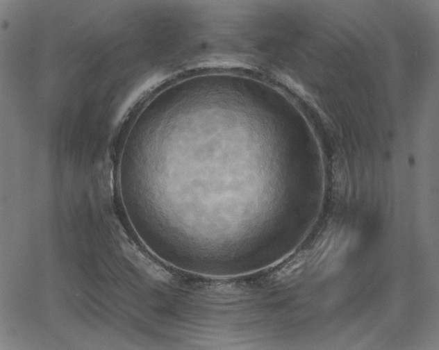 X0000064041408200601271150