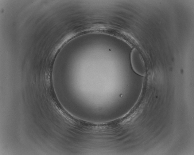 X0000064041409200601271150