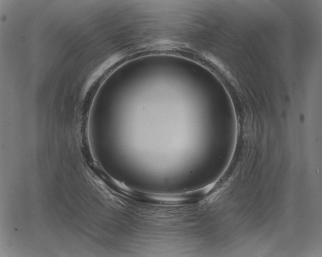 X0000064041410200601271150