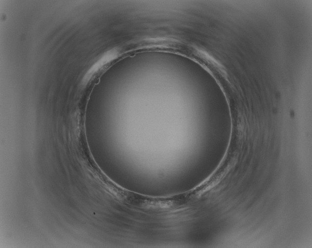 X0000064041411200601271150