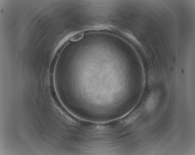 X0000064041412200601271150