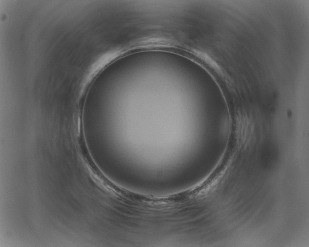 X0000064041413200601271150