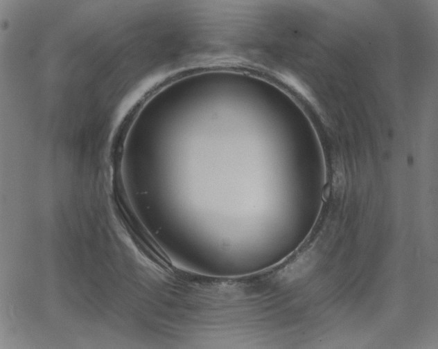 X0000064041414200601271151