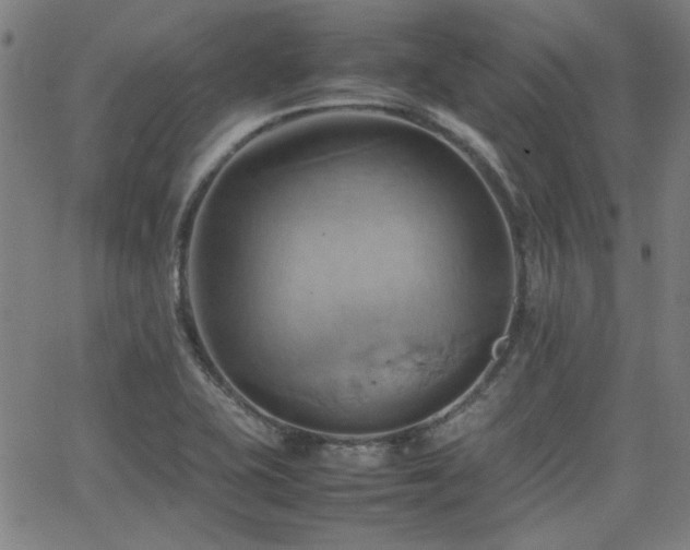 X0000064041415200601271151