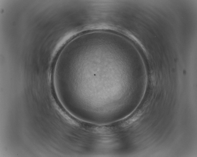 X0000064041416200601271151