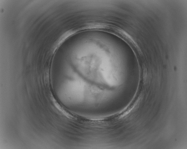 X0000064041417200601271151