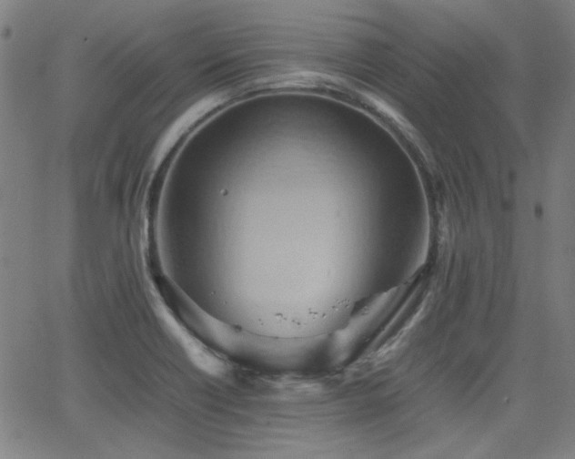 X0000064041418200601271151