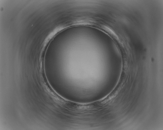 X0000064041419200601271151