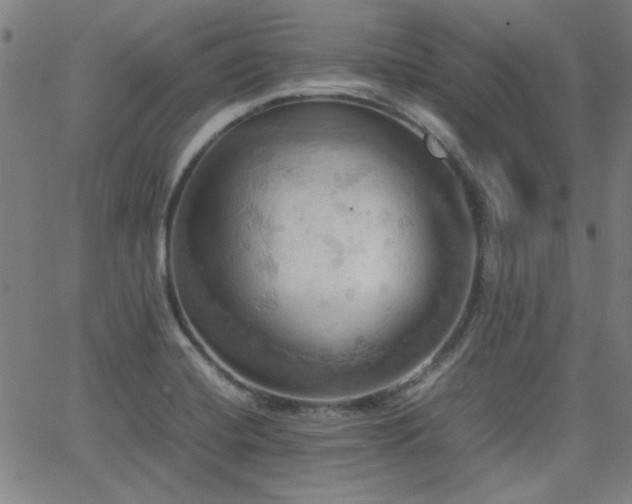 X0000064041420200601271151