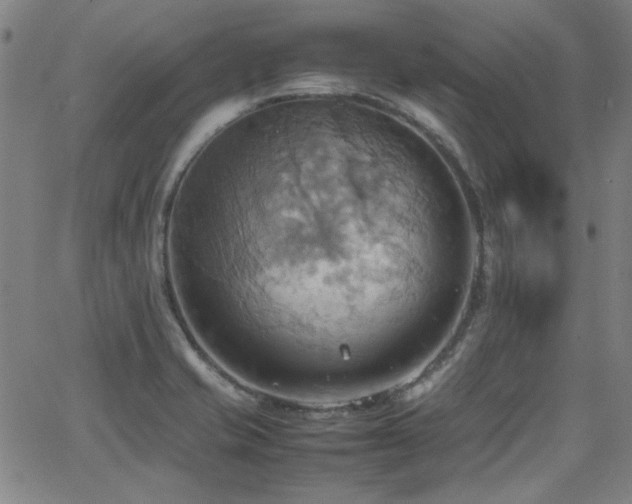 X0000064041421200601271151