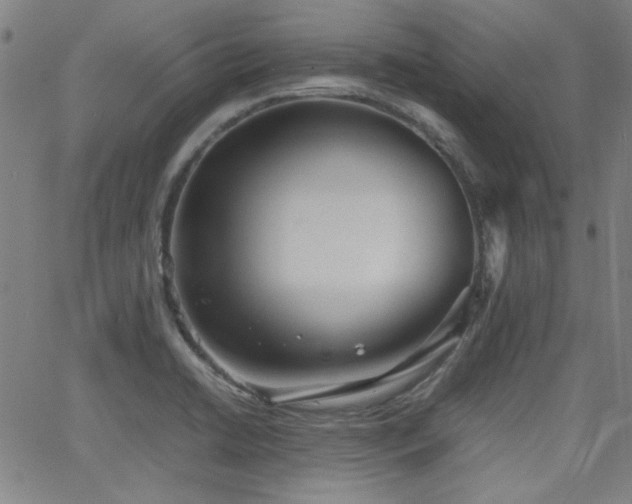 X0000064041422200601271151