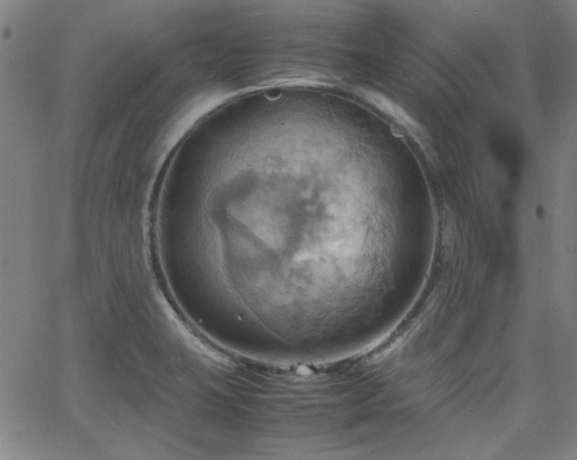 X0000064041423200601271151