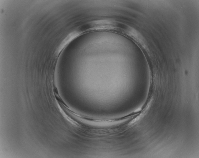 X0000064041425200601271151