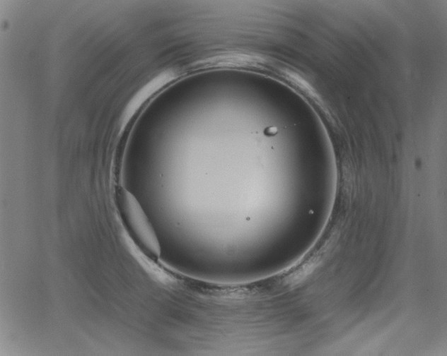 X0000064041426200601271151