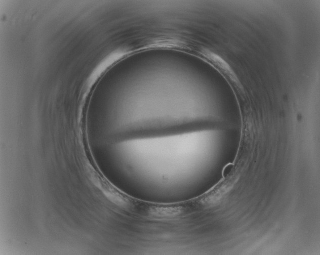 X0000064041427200601271151