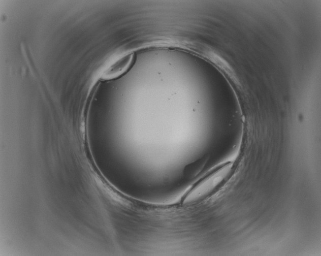 X0000064041428200601271151