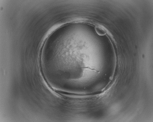 X0000064041429200601271151