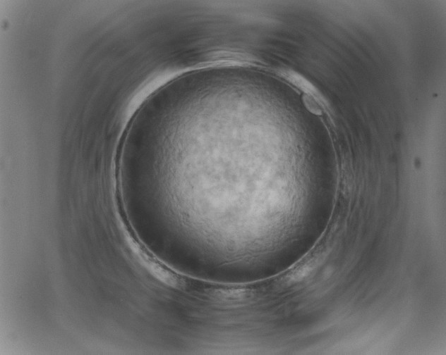 X0000064041431200601271151