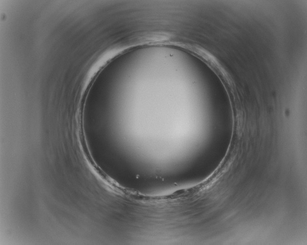 X0000064041432200601271151