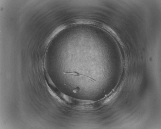 X0000064041433200601271151