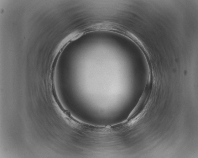 X0000064041434200601271151