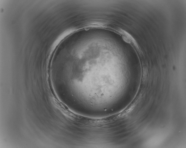 X0000064041435200601271151