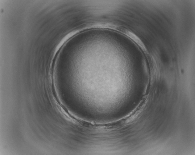 X0000064041436200601271151